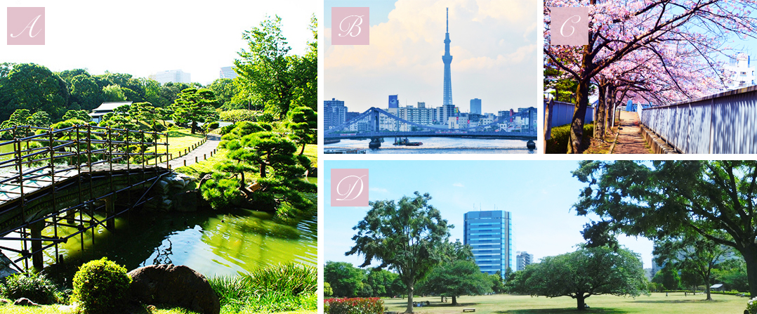 ロケーションa~d