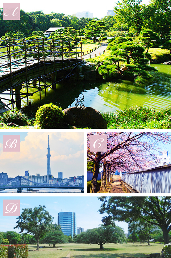 ロケーションa~d_sp用